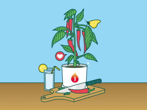 Het peperplantje van 3sign