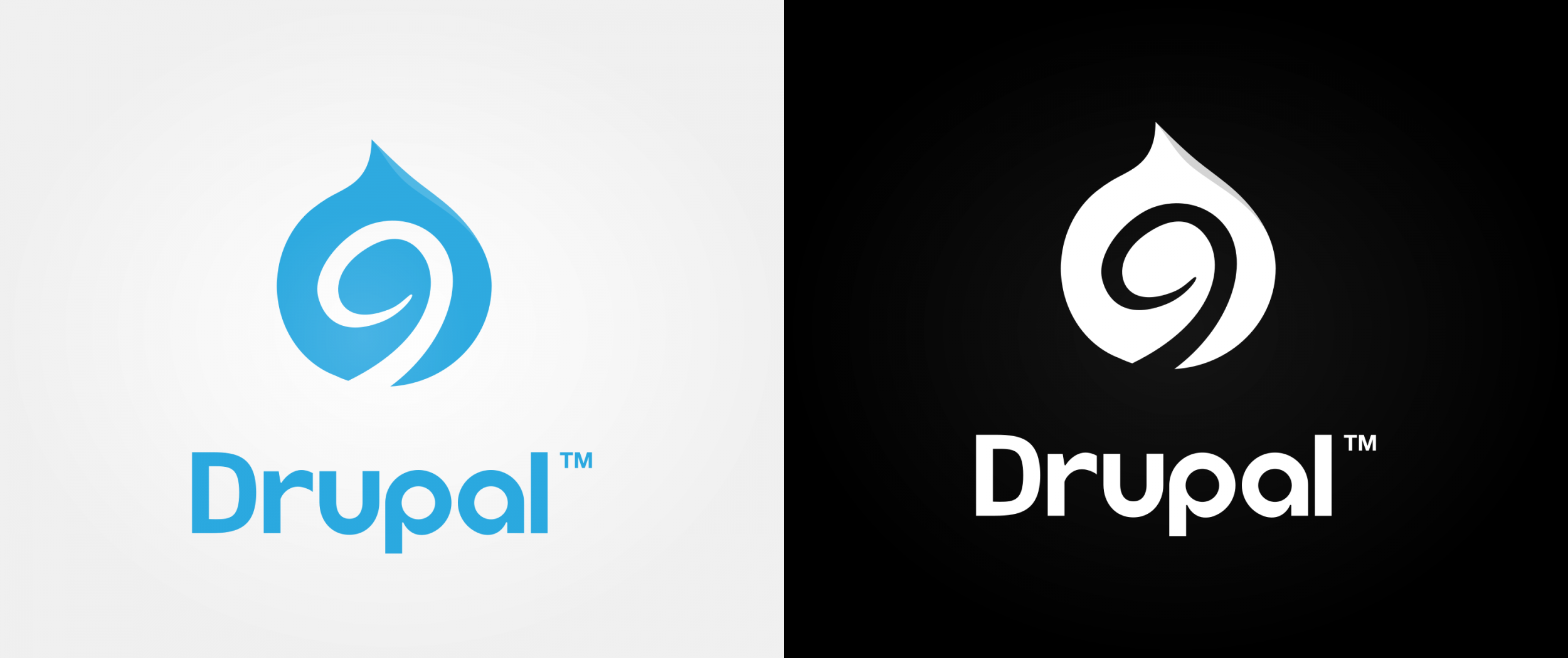 Eén van de voorstellen voor het nieuwe Drupal 9 logo