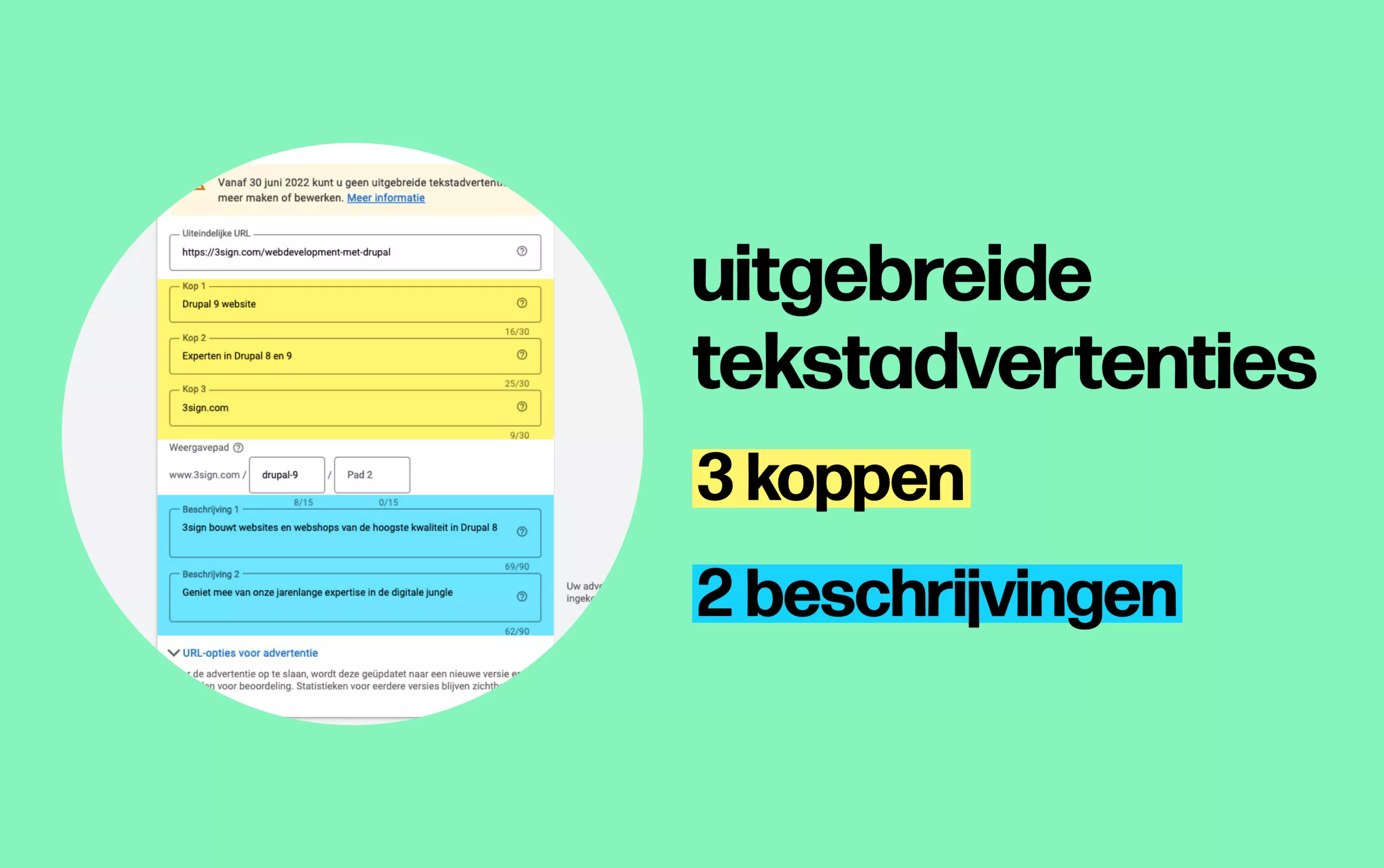 Uitgebreide tekstadvertenties Uitgebreide tekstadvertenties