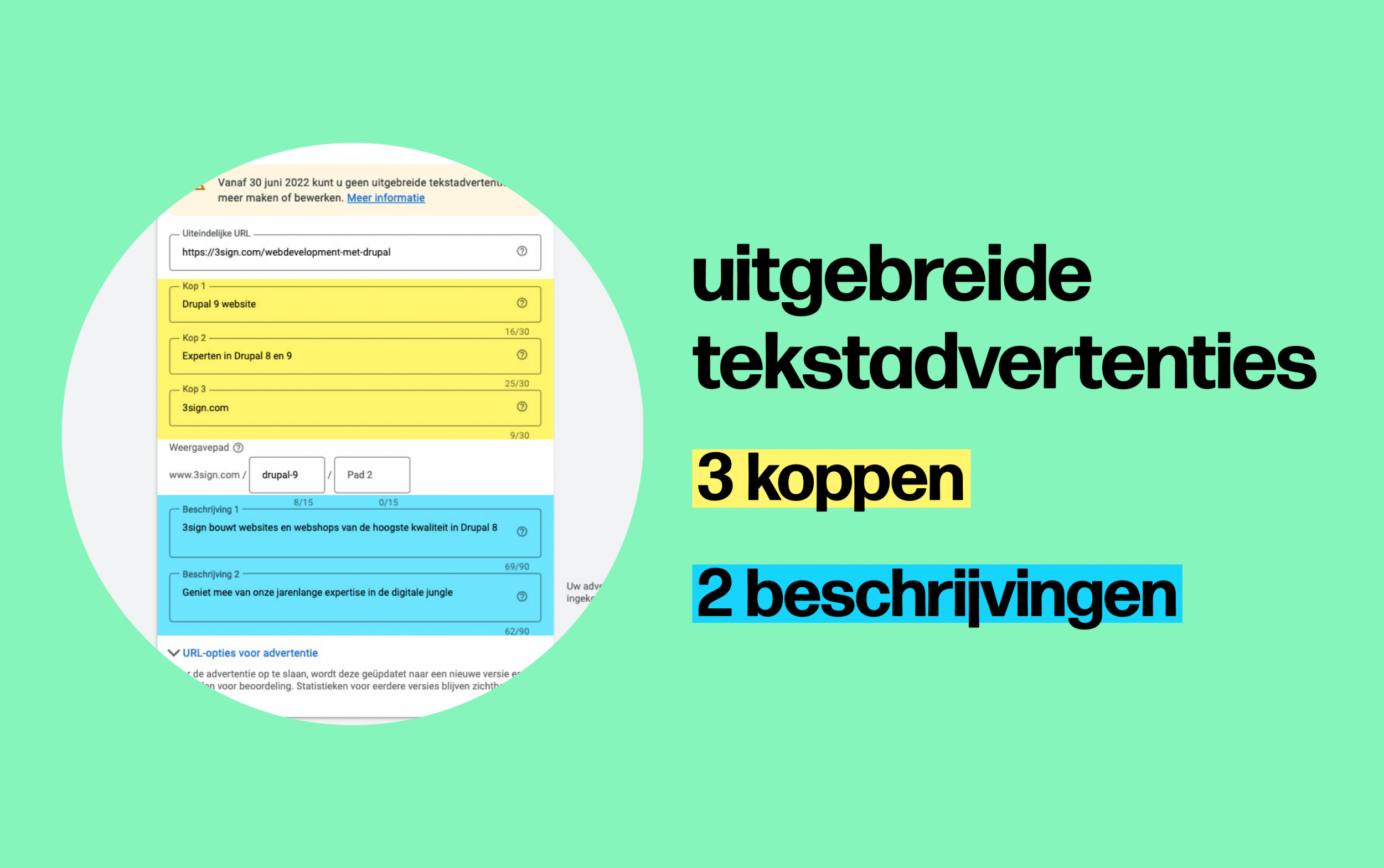 Uitgebreide tekstadvertenties