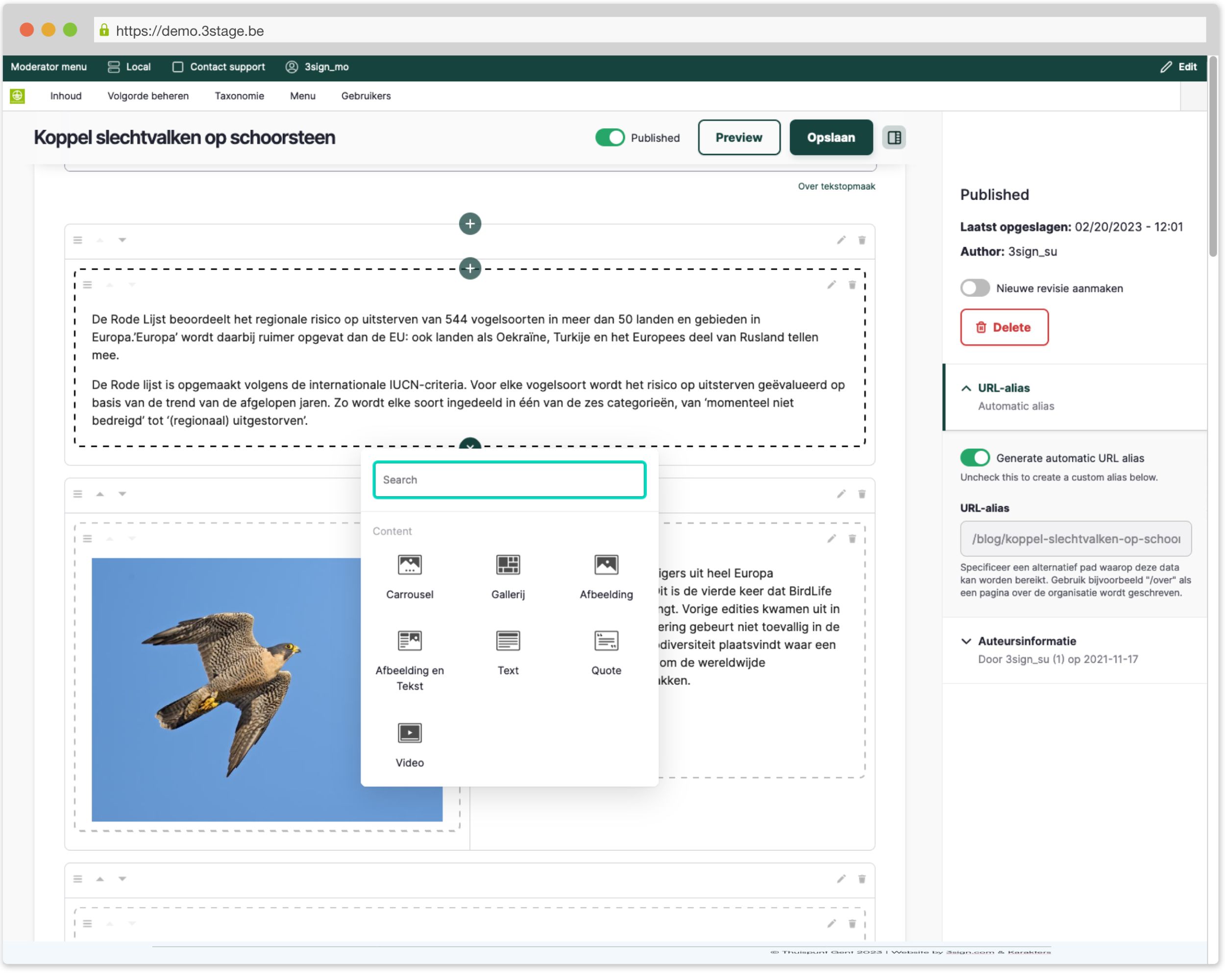 Layout paragraphs voorbeeld